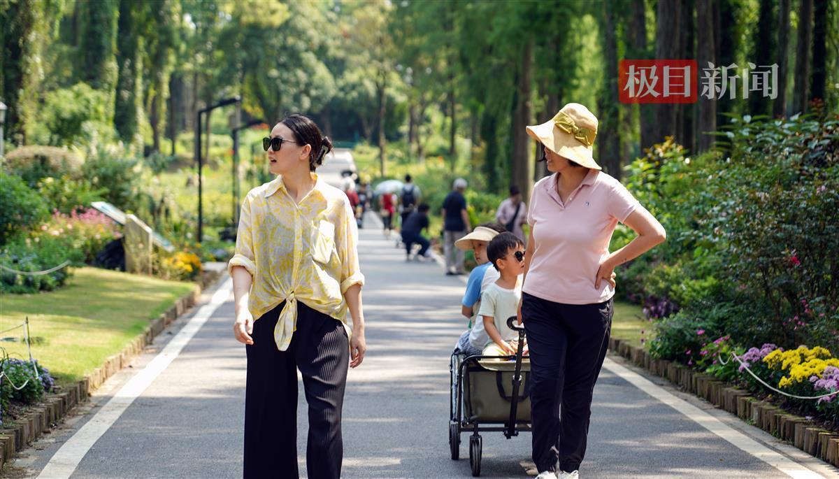 58588威尼斯